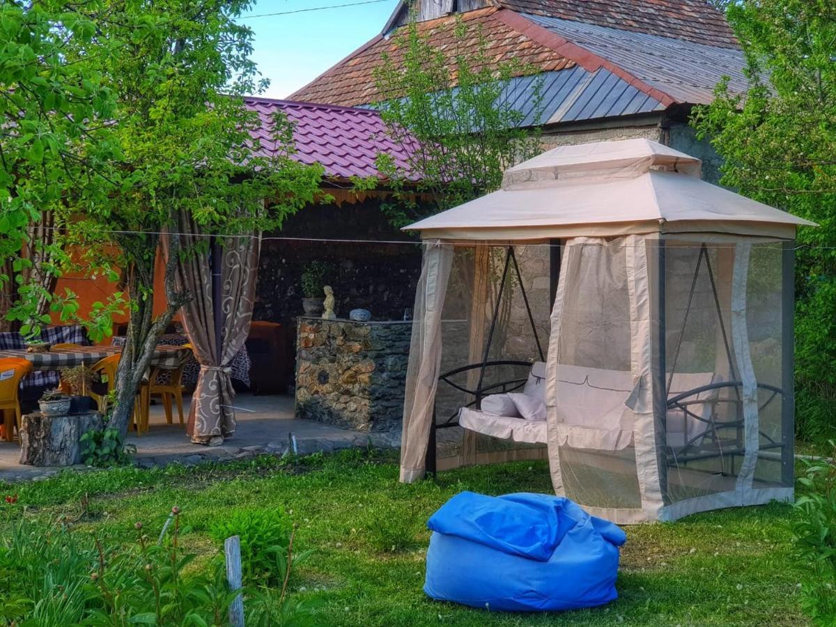 Family Hotel Maia - Cемейная Гостиница Майя Dashbashi Exterior photo